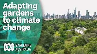 How the future climate is changing how Australian green spaces are designed | Gardening Australia