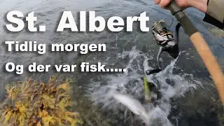 St.  Albert &AElig;r&oslash; 👍  Ja der var fisk 🐟 Hav&oslash;rred fiskeri 🎣