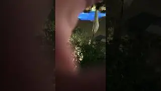 #CoolTransitions