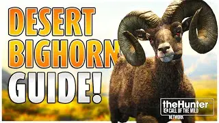 The DESERT BIGHORN Guide! | NEW Species Guide - theHunter Call of the Wild