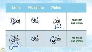 Surah Al-An'aam ayat 47,48,49 | Translation and tafseer | New Session 2023 | By Zubeena Naaz