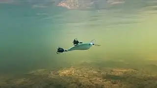 Zomber RELIGA на разнесенной оснастке