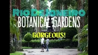 BOTANICAL GARDENS, RIO DE JANEIRO, BRAZIL | THINGS TO DO IN RIO DE JANEIRO, BRAZIL