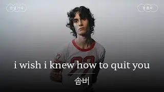 이별곡 전문 🥲 [가사 번역] 솜버 (sombr) - i wish i knew how to quit you