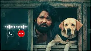 Like a butterfly Charlie BGM Ringtone | #charlie #music #south #bestringtoneever #populartone