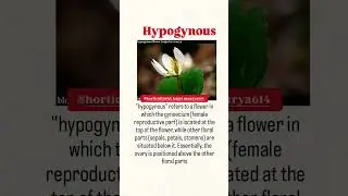 #trendingshorts #ovary position in fruits #agriculture #examtarget #bestmaterial#interestingfacts