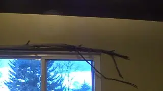 Black  Bedroom Ceiling Effect