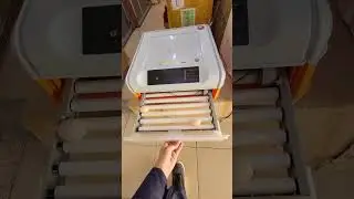 فقاسات منزليه متميزه من نوادر المستهلك جوال 0504106489