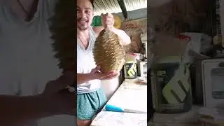 Let's eat Durian