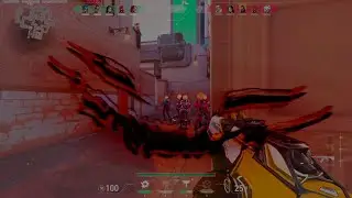 LG4 Trey - White Lies [valorant fragmovie]
