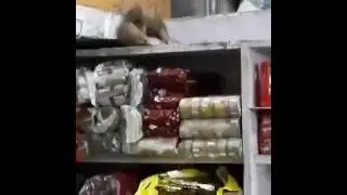 #funny #memes #wwe