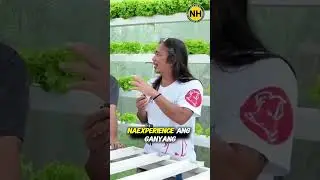 Camp O Verde Farm in Batangas City experienced this alarming problem in their lettuce! 😰