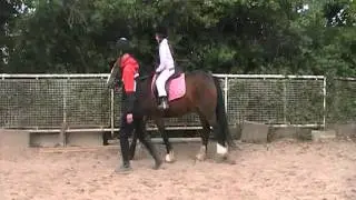 Nelly lead rein