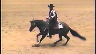 Shawn Flarida - Docs Brilliant Son