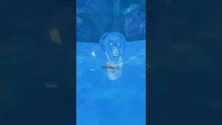 POV: movie trailers part one #mckoopa #tts  #gorillatag #trailer #true #thx #subscribe #lol #funny