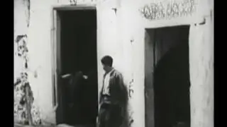 Falgar - Mediterraneus