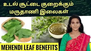 மருதாணி இலை எந்த நோய்க்கு எப்படி பயன்படுத்தலாம் ? Mehendi leaf benefits in tamil/ Dr.Mythili