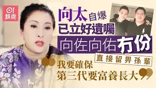 【01秒看娛樂】向太自爆已立好遺囑向佐向佑冇份　曾狠批兩兒子冇才能難繼承家業｜01娛樂｜向太｜陳嵐｜香港名人