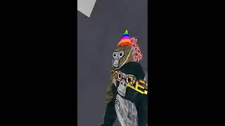 Gtag stream live with viewers 