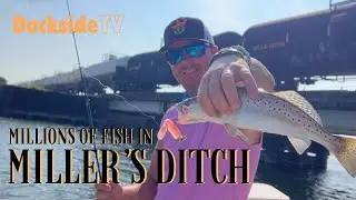 DockSide TV 'Millions of Fish in Miller's Ditch'