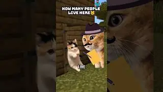 CAT MEMES🐱 How Many people live here? #cat #catmemes #shorts