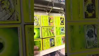 vinssica101 shows Grass/Fighting/Dragon Pokemon binders!