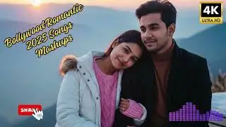 🎵 Hindi Romantic Song 2025 | Soulful Bollywood Melody That Feels Warm