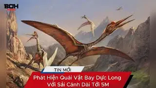Ph&aacute;t Hiện Qu&aacute;i Vật Bay Dực Long Với Sải C&aacute;nh D&agrave;i Tới 5 M&eacute;t