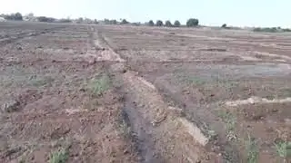 Waraabka beerta furan ee  qaraha (xabxabka)