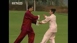 Kung Fu   Tuishou du taiji 1