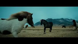 Iceland // Gusts From The Highlands (Travel film)