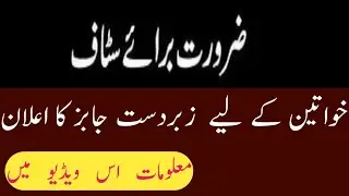 New latest jobs 2019|female jobs2019-jobs in Pakistan
