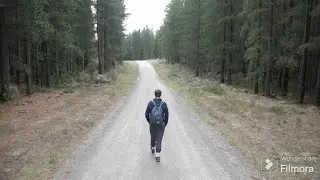 new journey of life we can live with harmony and peace AI generated tool