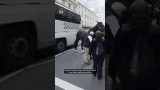 DISTRESSING CONTENT Spooked horses rampage through London  | ABC News