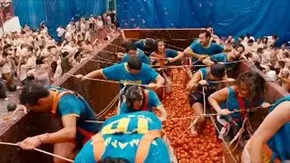 Facts you must know  | La Tomatina
