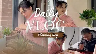 Refreshing Our Little Home — Caring for Plants & Growing a Cozy Life Together