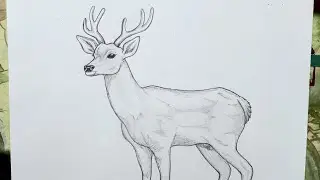 How To Draw A Deer 🦌|| Deer Drawing Easy And Step By Step ✏️ ||