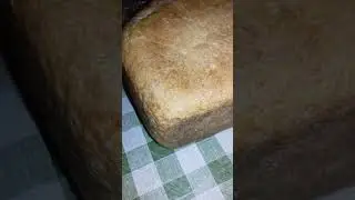 Гетик Семск 2023
