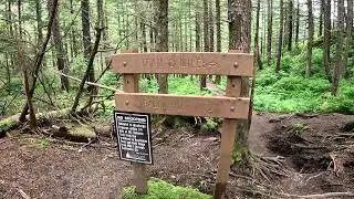 Mt  Roberts Trail, Juneau Alaska, June 18, 2025