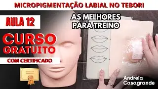 Pele Sint&eacute;tica Para Treino de Micropigmenta&ccedil;&atilde;o Labial | Andreia Casagrande