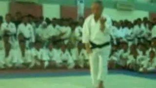 Kushin Ryu kata
