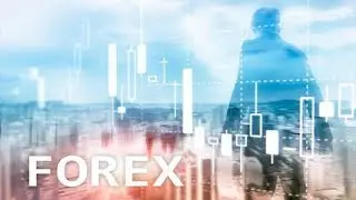 Forex Trading Certificate Course by Academy Europe