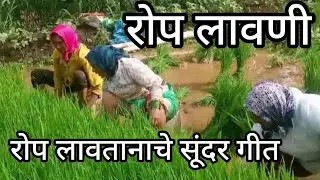 भाताचे रोप लावतानाचे सूंदर गीत ☺🌱 नक्की ऐका☝✨