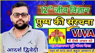 Practical Viva Class 12th Biology|Chart paper mein kya banaen|पुष्प की संरचना बायोलॉजी क्लास 12 