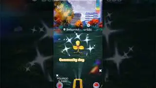 Can I Catch a Shundo Shiny in 24 Hours? ⏰✨