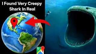 I Found Very Creepy Shark On Google Earth #googleearth #viralvideo#googlemaps  #World'shiddenthings