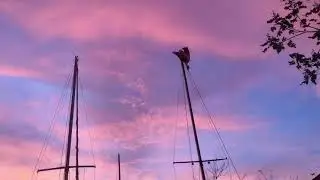 Lights, sights, and stormy sounds