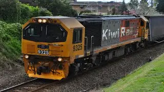 KiwiRail Freight Trains in Tauranga (DL locomotives with containers, coal and paper trains)
