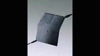 Passport Wallet