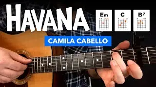 🎸 